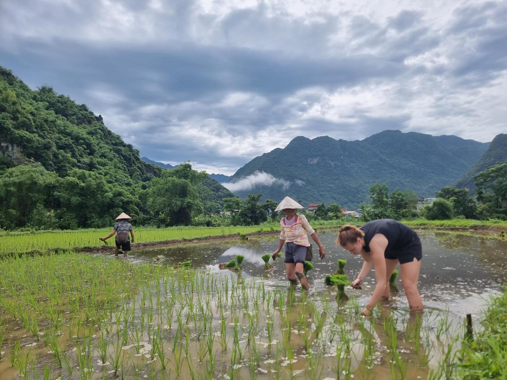Inh La Home Pu Luong Exteriér fotografie